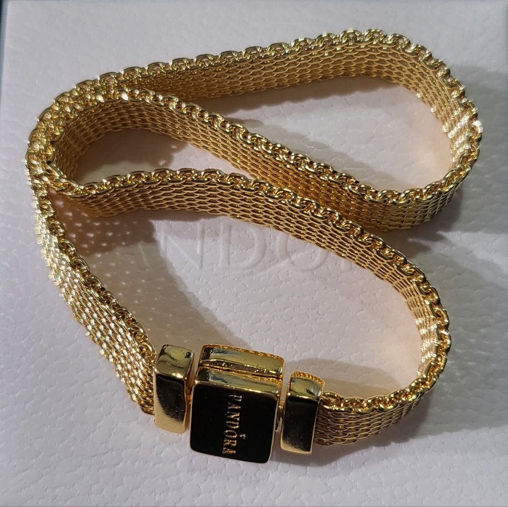 Pandora Reflexions Mesh Bracelet